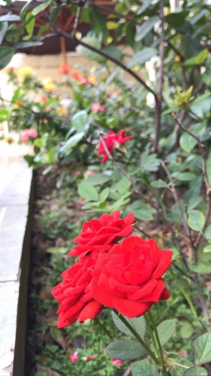 Villa Garza Inn Γκουαγιακίλ Εξωτερικό φωτογραφία